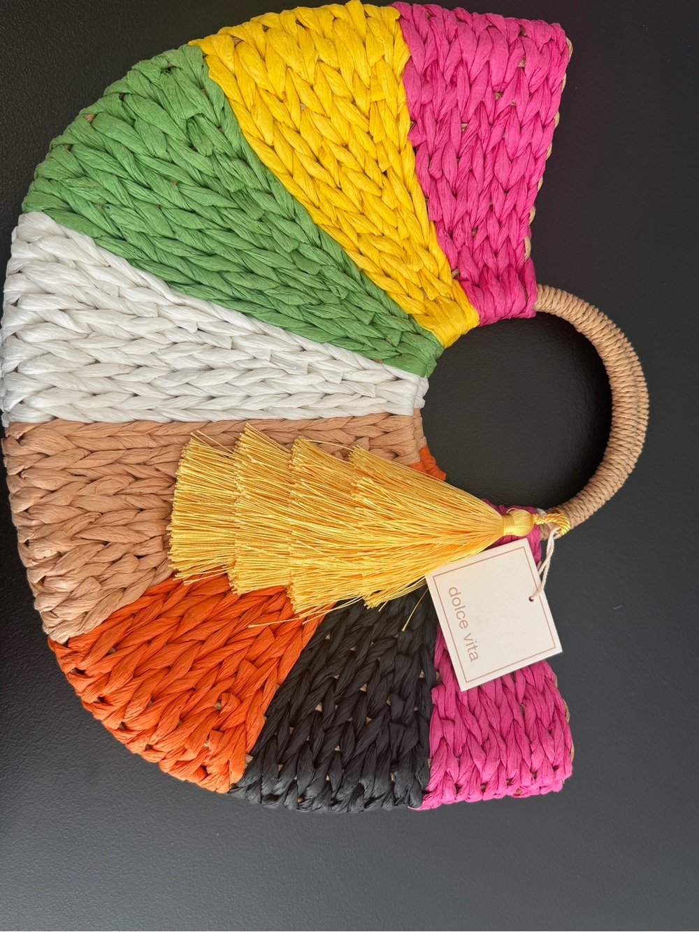 Dolce Vita Multicolor Straw Hobo with Wooden Circle Handles